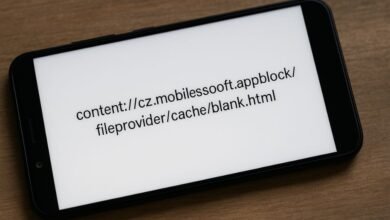 content://cz.mobilesoft.appblock.fileprovider/cache/blank.html