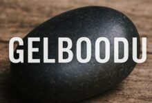gelboodu