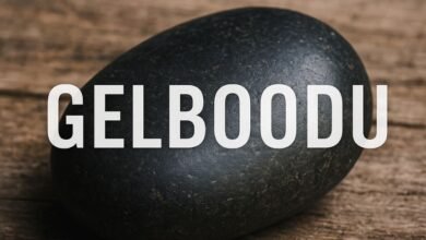 gelboodu